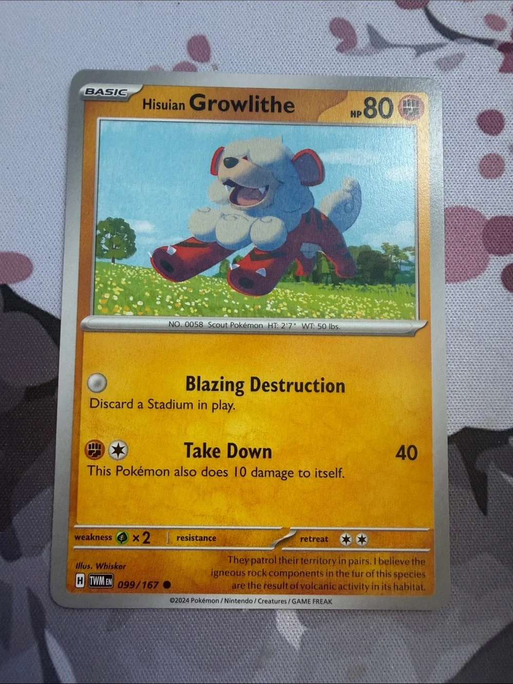 Pokemon mix match